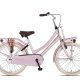 Altec Urban Kinderfiets Transport 22 inch - Fietsen-zaak.nl
